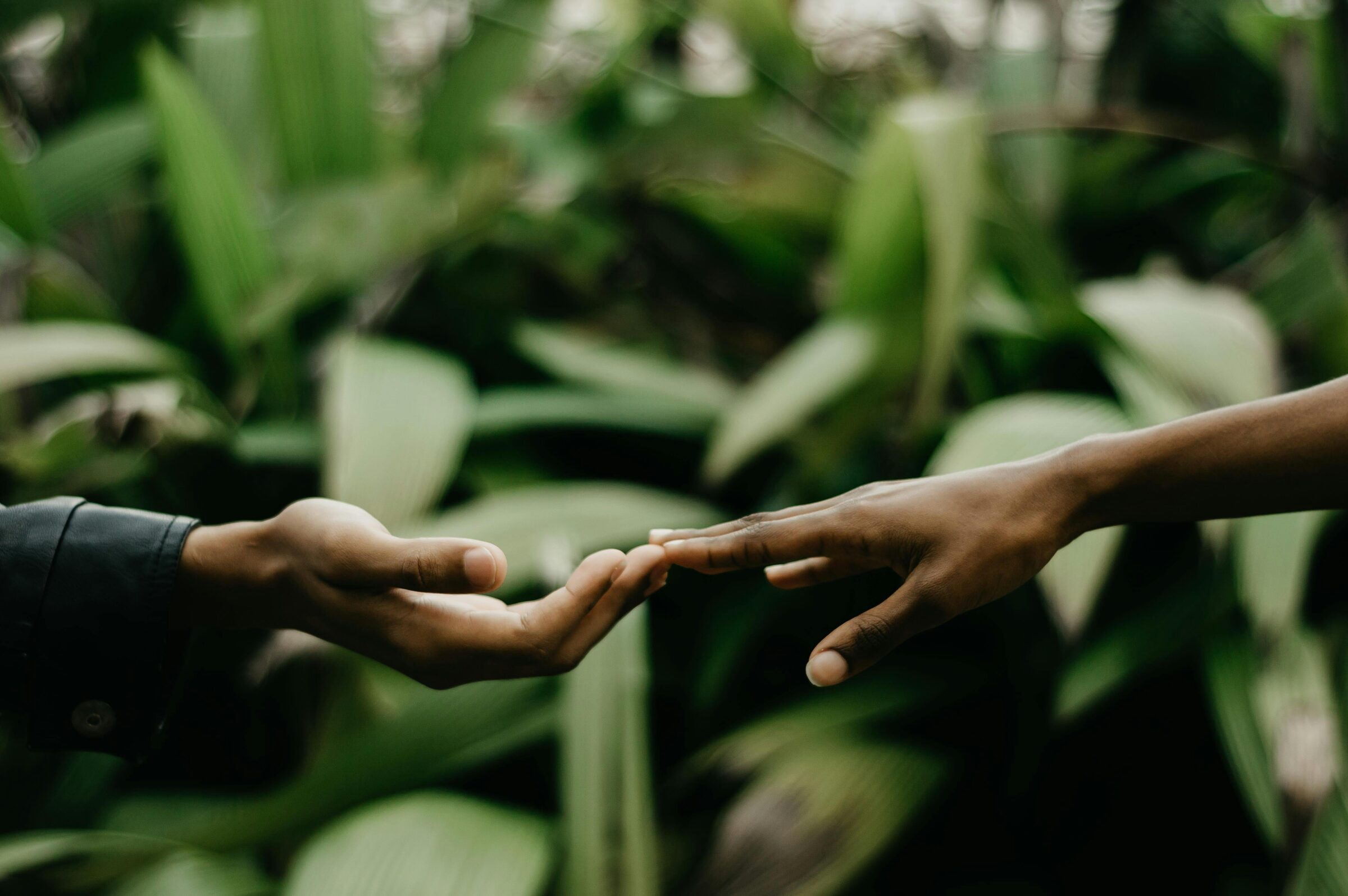 Local community programmes in the Maldives
